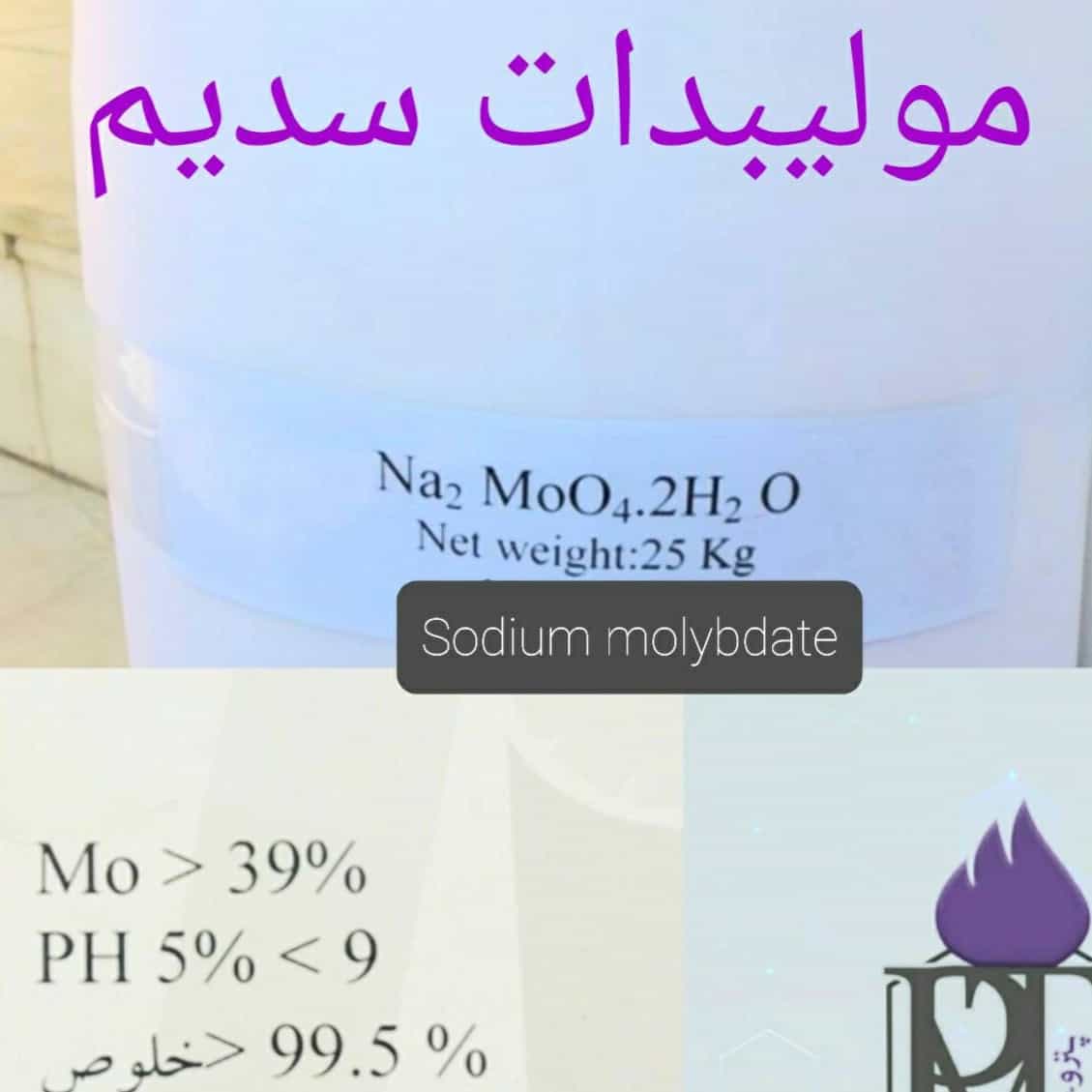 1782031795116.webp